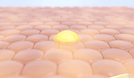 1.gif