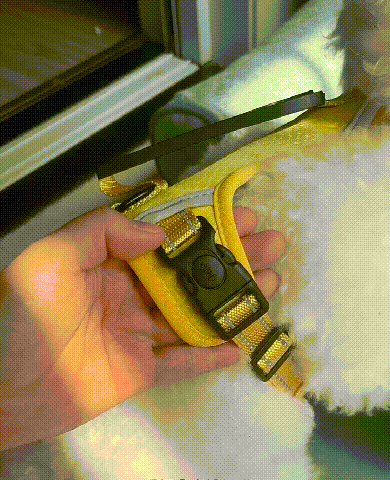 1727959675108145.gif